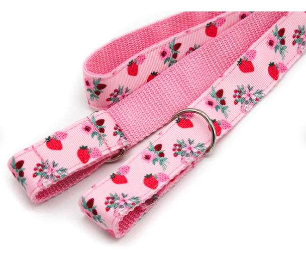 Skate Leash: 9 opções criativas para transportar seus patins sem esforço - Imagem do artigo original